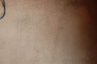 A beige carpet with visible dirt and stains; a blue lead, likely from a Rug Doctor carpet cleaner, is partially visible in the upper left corner.