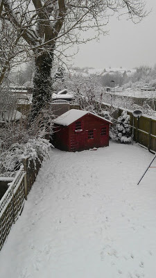 A snowy back garden with a small red shed, surrounded by trees and a wooden fence. Snow covers the ground, the shed roof, and tree branches, creating a peaceful winter scene perfect for snow days and outdoor fun.