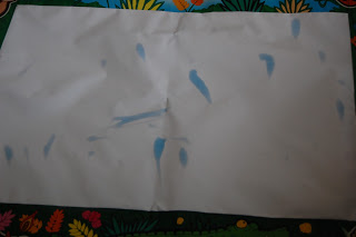 A white sheet of paper with several blue stains scattered across it, lying on a colourful, patterned surface featuring leaves and flowers along the border—resembling the playful design of Tomy Jungle Magic Sounds Aquadoodle mats.