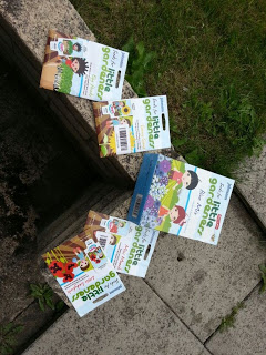 Packets of “Little Gardener” seed kits and activity packs from Wilkinsons are spread out on a stone surface next to grass, featuring colourful illustrations of children and gardening tools on the packaging for added gardening fun.