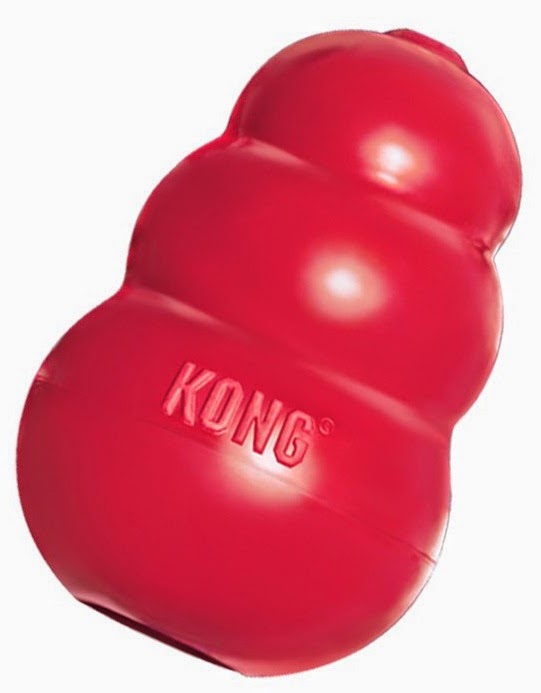 A red KONG dog toy