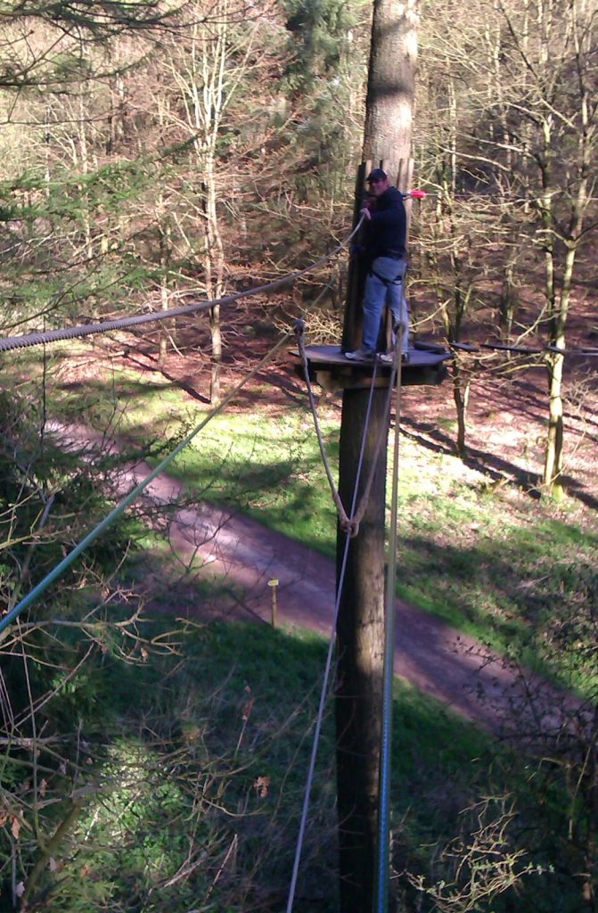 A person stands on a small wooden platform attached to a tall tree, ready for a Tree Top Adventure at Go Ape. Ropes and trees surround them, with a path visible far below in the forest adventure park.