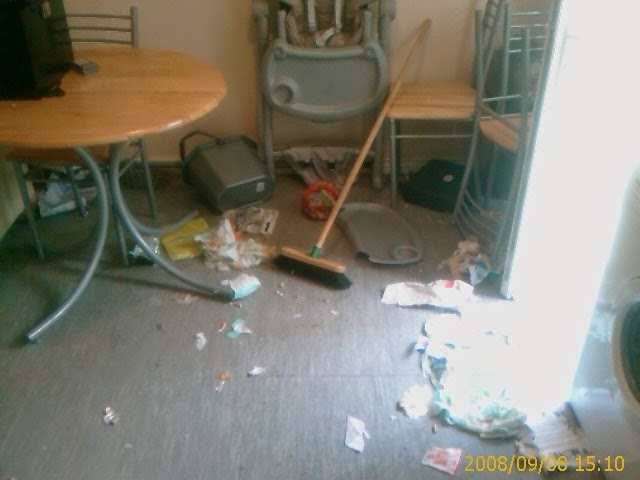 A messy room with rubbish and paper littering the floor, as if asking how naughty is your pet; a broom and dustpan sit in the centre, overturned chairs and a high chair in the background, and a wooden table to the left. The image is dated 06/09/2008.