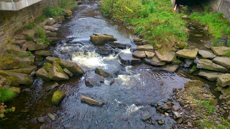A shallow stream with clear water flows over rocks and stones, creating small rapids. Green plants line the banks, whilst a bridge or tunnel appears in the distance—perfect for a peaceful Silent Sunday escape.