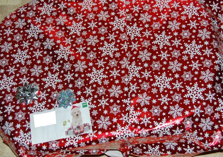 A large present wrapped in red paper with white snowflakes, topped with two small bows and a holiday card featuring a dog in a Santa hat from the Santa Paws collection at Pets at Home.