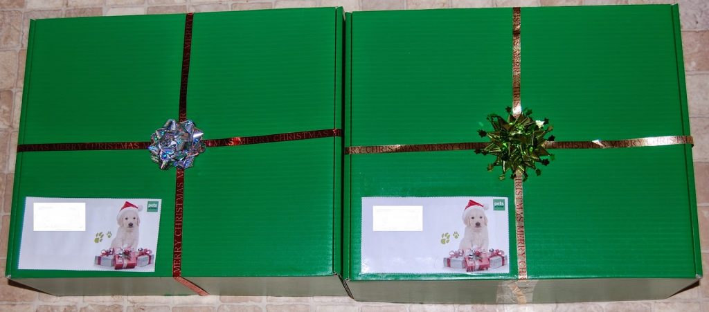 Two large green gift boxes with "Merry Christmas" ribbon, bows, and Santa Paws labels featuring a white puppy and presents, placed side by side on a light-coloured surface.