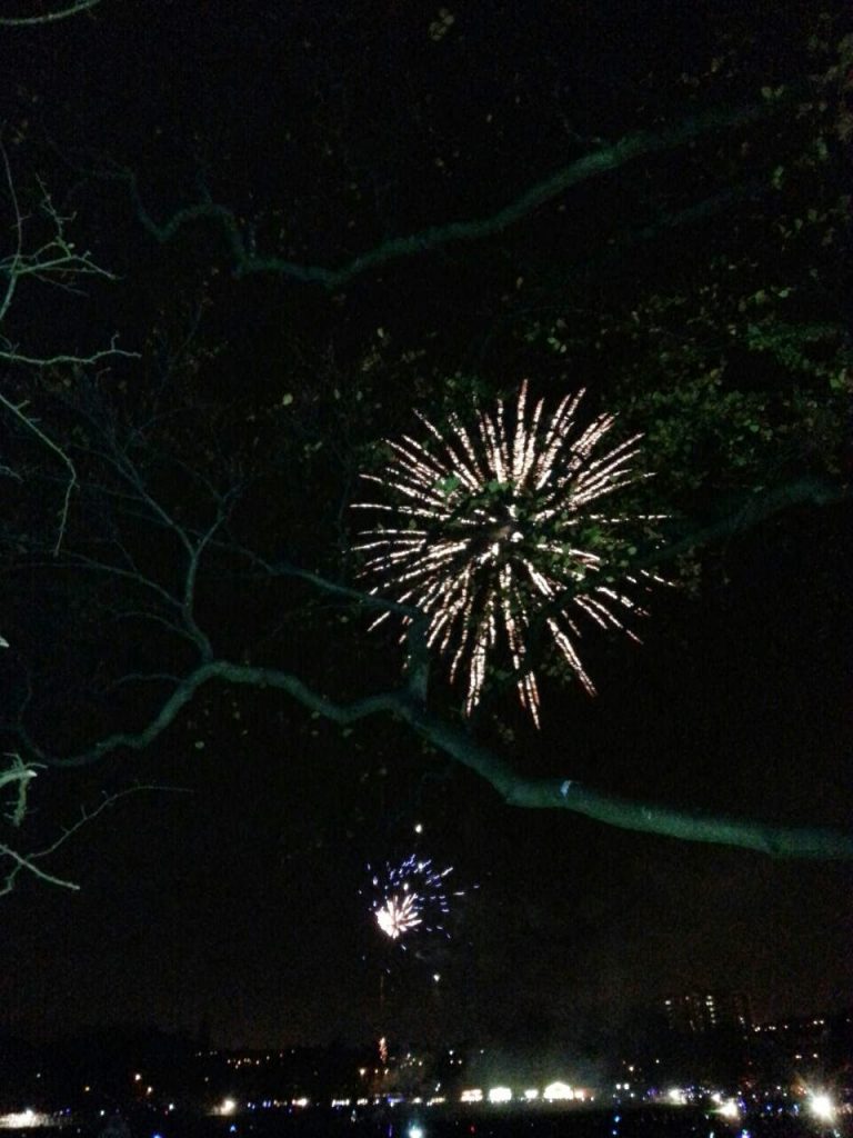 Fireworks burst in the night sky above a cityscape on a Silent Sunday, with tree branches silhouetted in the foreground and distant lights visible along the horizon.