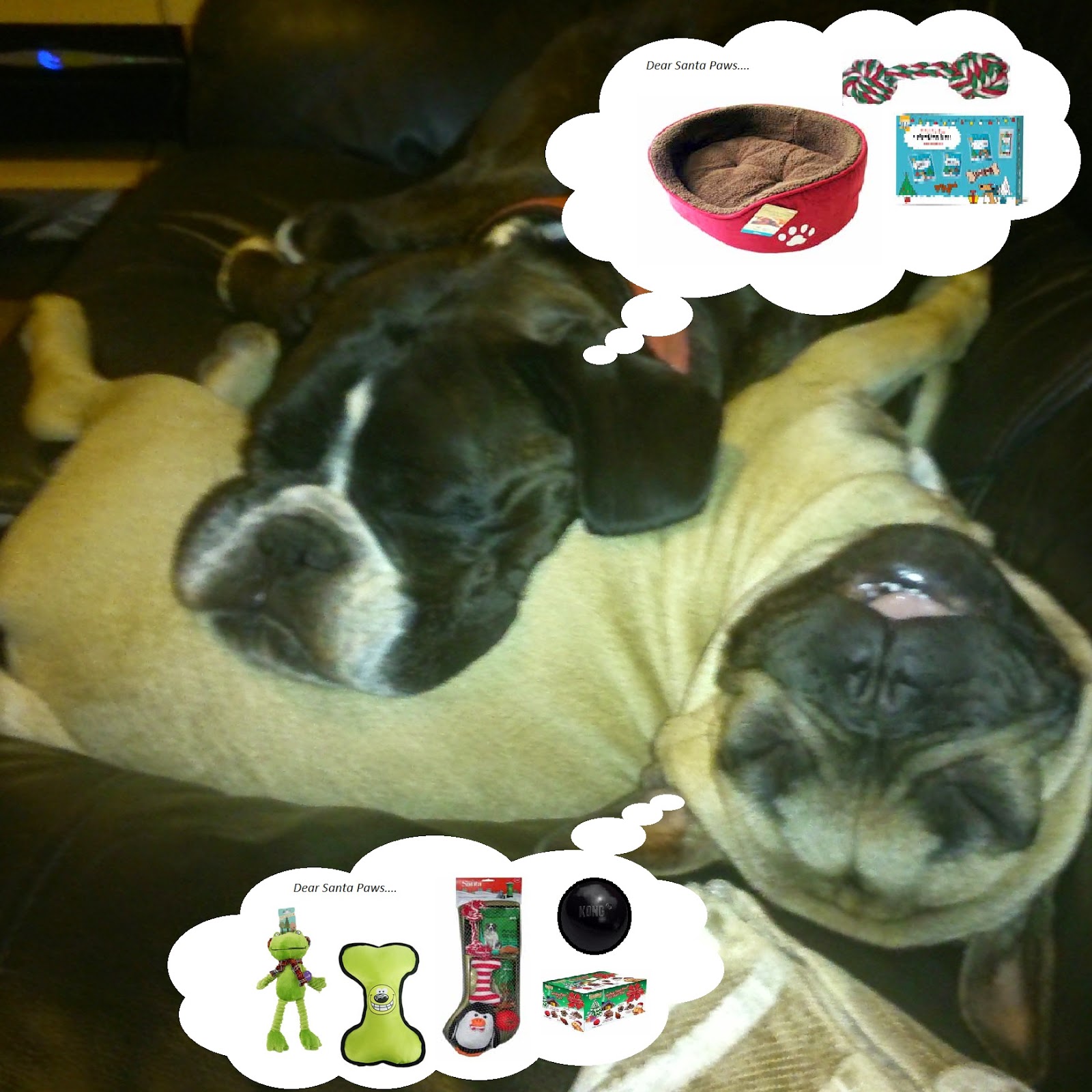 Two dogs are sleeping snuggled together on a sofa. Each has a thought bubble above its head, dreaming of holiday pet gifts from Santa Paws—like toys, treats, and a cosy bed.