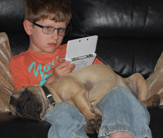 A young boy wearing glasses and an orange shirt plays a handheld video game while a tan dog sleeps on his lap on a black sofa—perfect Flashback Friday vibes.