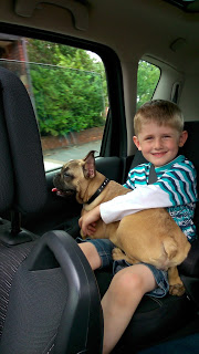 A young boy in a striped shirt sits in the back seat of a car, smiling and cuddling a small brown dog on his lap. The car window is open, greenery is visible outside—perfect for a Flashback Friday memory.