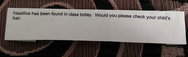 A printed note on white paper reads: "Head lice have been found in class today. Would you please check your child's hair." A true parent's nightmare, the note rests on a brown and black patterned fabric.
