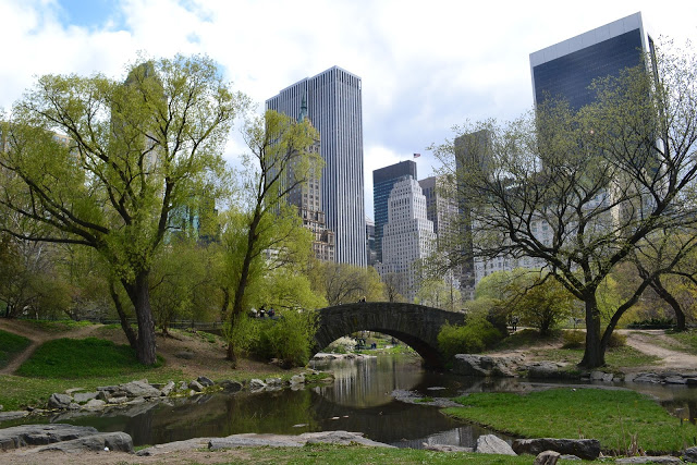 A bridge in Central Park, New York A stone bridge crosses over a small stream in a park with green trees in New York, whilst tall city skyscrapers rise in the background under a partly cloudy sky.