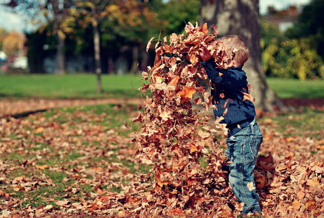 A young child in jeans and a blue shirt plays outdoors, tossing a pile of dry autumn leaves into the air on a grassy, leaf-covered area in a winter garden with trees in the background.