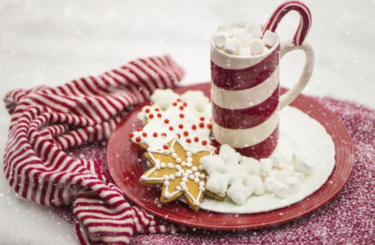Christmas biscuits and hot chocolate on a red plate