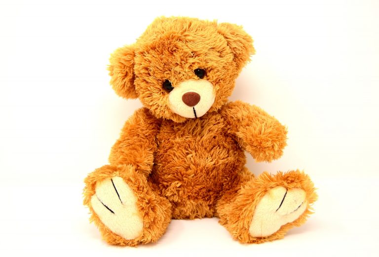 large brown soft teddy bear