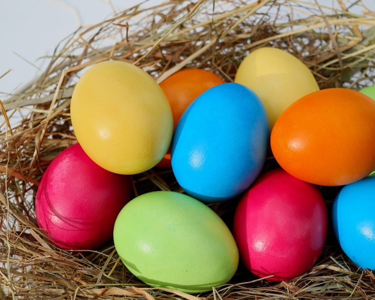 Colourful Easter Eggs in a nest