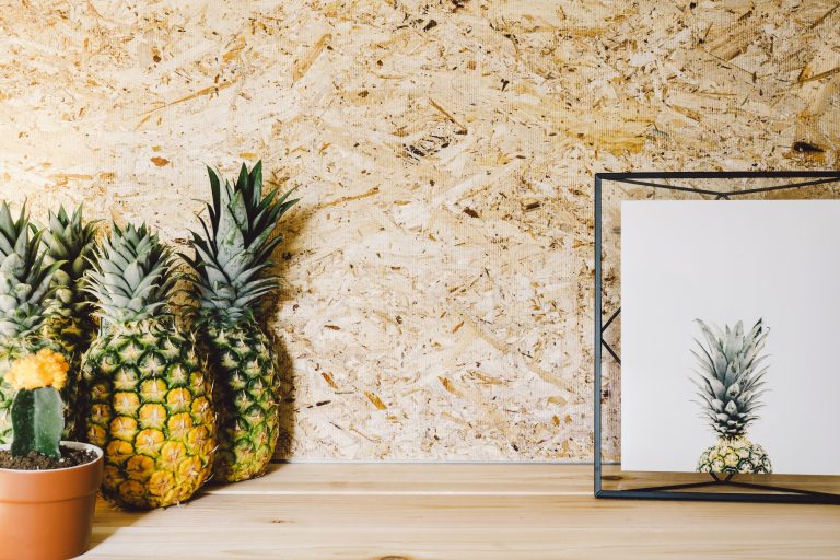 four pineapples next to a cactus plant and picture frame with a pineapple print inside it.