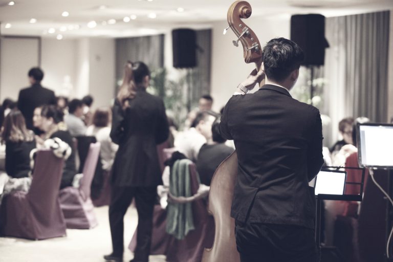 A musician in a suit plays a double bass at a formal event with seated guests and tables, while another person stands nearby amid a softly lit, elegant room filled with wedding fun.