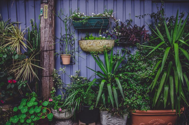 a purple garden fence with lots of green plants in pots in front of it