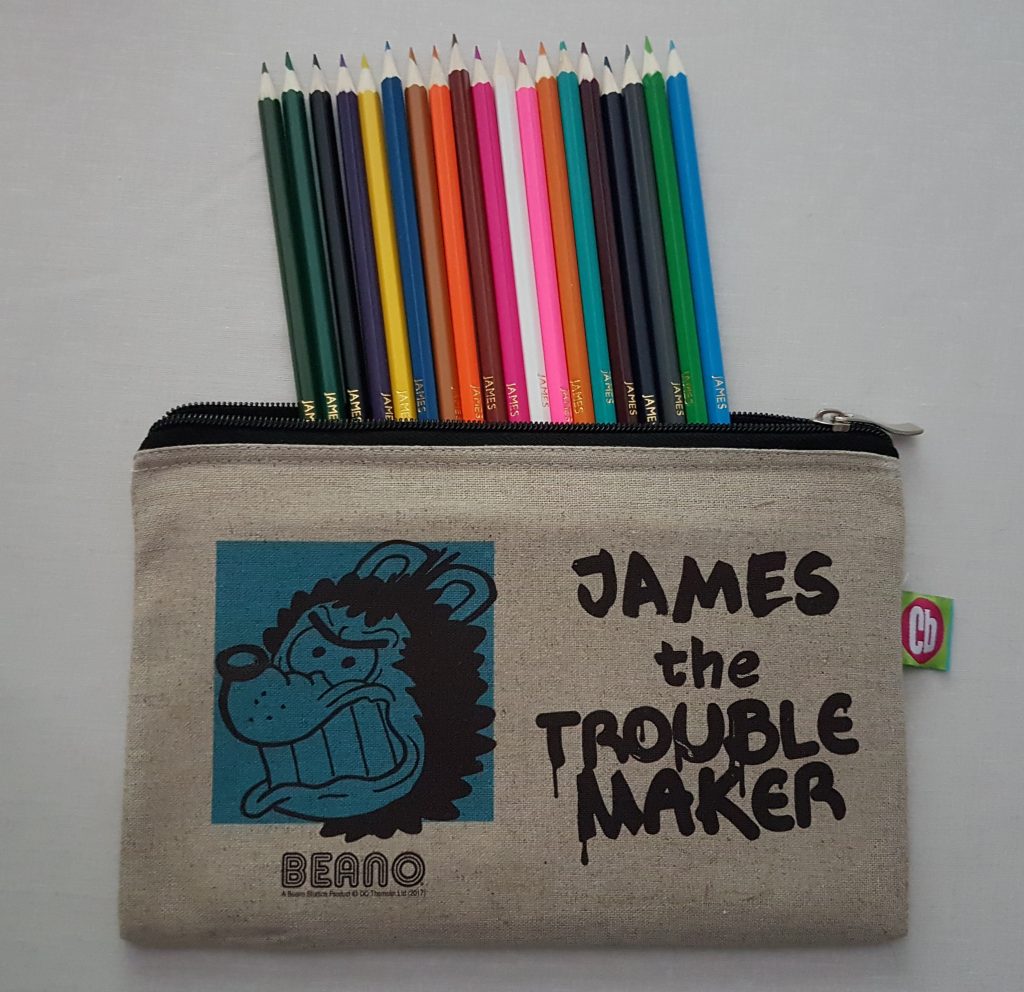 A back to school 2018 pencil case featuring a cartoon dog and the words "James the Trouble Maker" holds coloured pencils neatly arranged by colour, peeking out from the top.