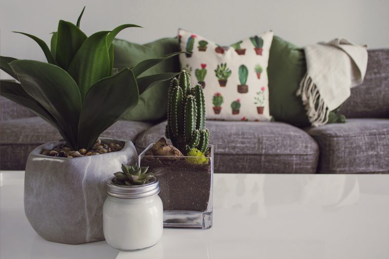 A luxury living room featuring a grey sofa, green and cactus-themed cushions, a light blanket, and a white table adorned with potted plants, a candle, and a succulent in the foreground creates an inviting modern oasis.