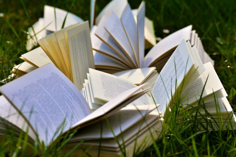 lots of open books on the grass