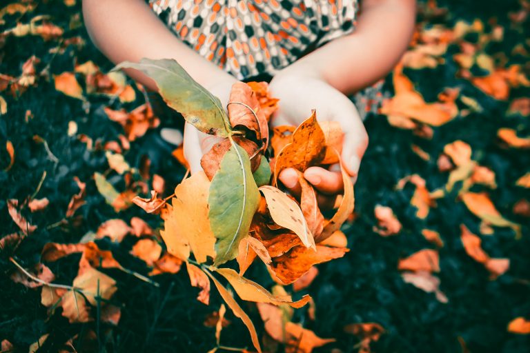 a girl with a handful of autumn leaves