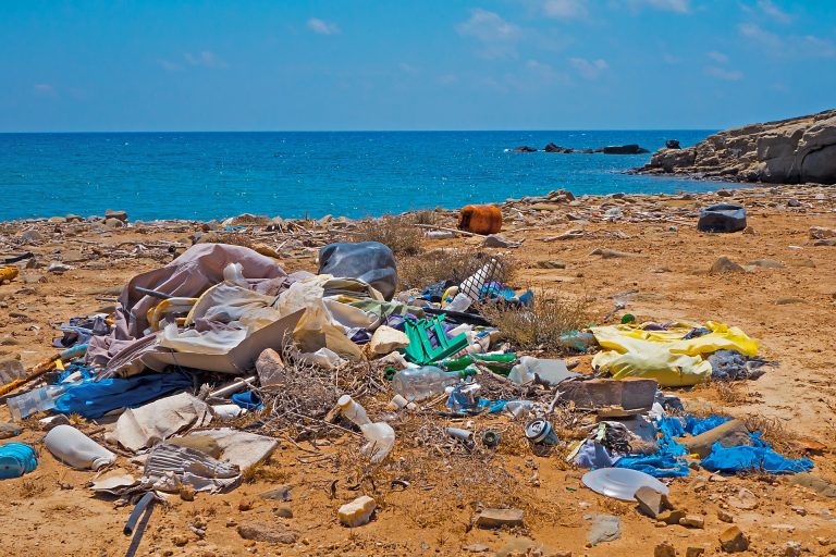 pollution on a beach