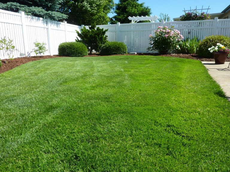 a beautiful garden with white fences and shrubs and bushes in the borders