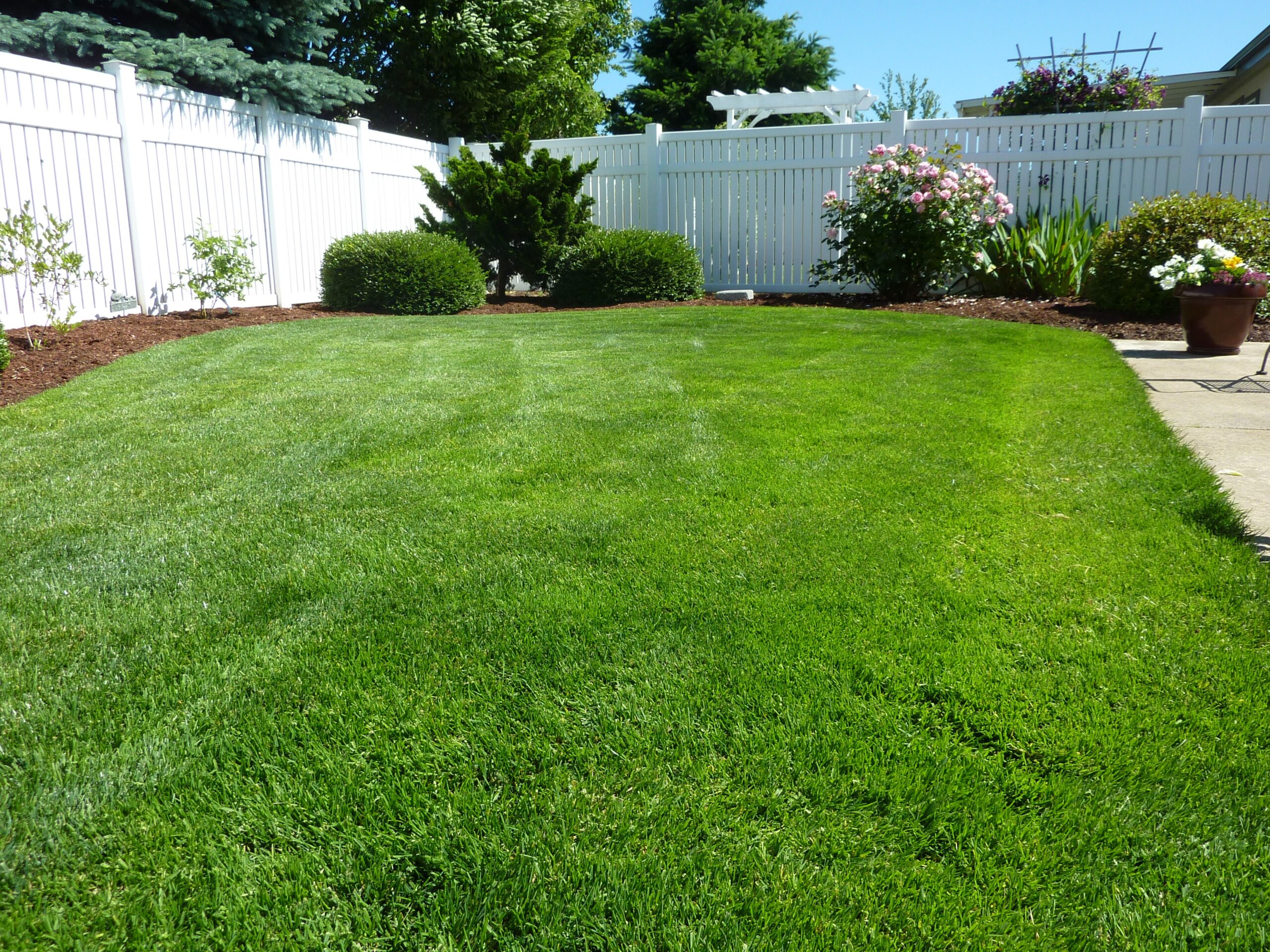 a beautiful garden with white fences and shrubs and bushes in the borders