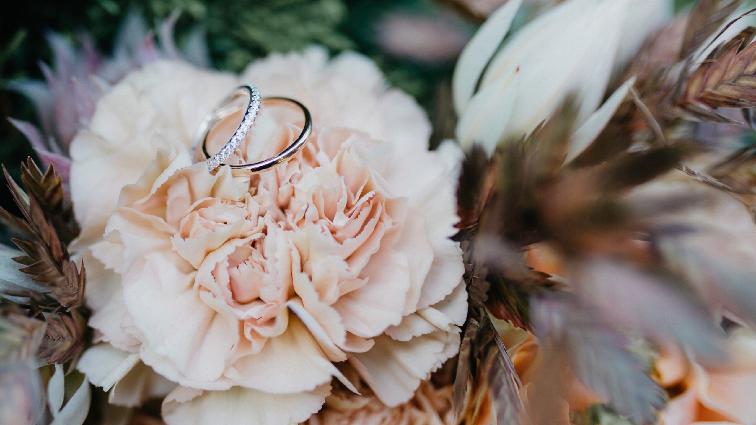 Two silver wedding rings rest on top of a pale peach carnation flower, surrounded by soft-focus greenery and petals in the background—a perfect snapshot for your next wedding update.