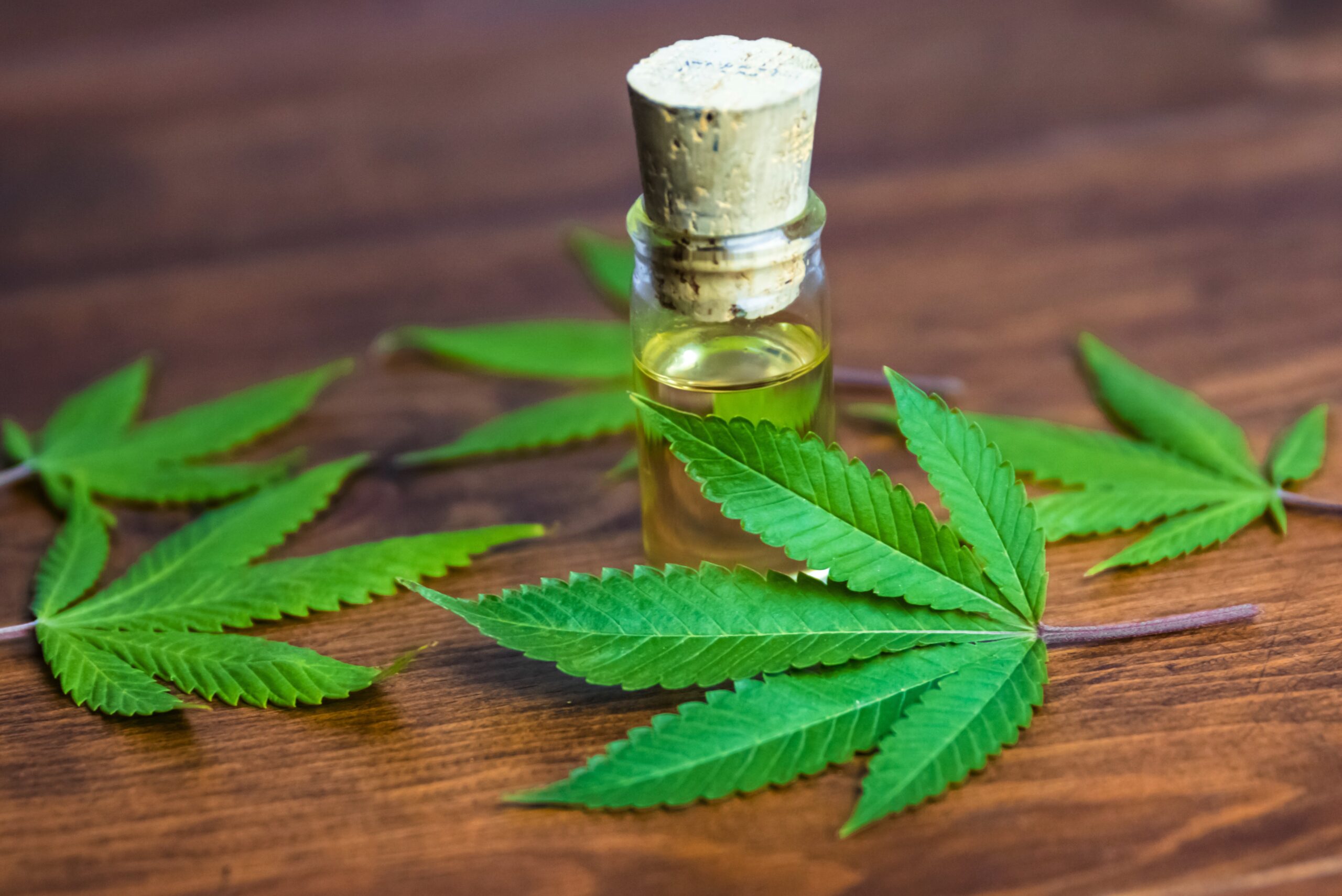 A small glass bottle with a cork stopper filled with yellowish natural oil sits on a wooden surface, surrounded by several green cannabis leaves.