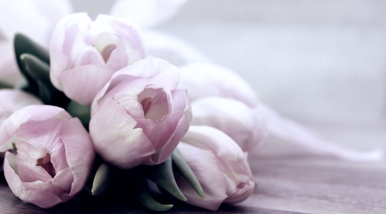 A close-up of a bouquet of pale pink tulips with soft green leaves, resting on a wooden surface—perfect for the mother of the bride. The softly blurred background creates a gentle and serene atmosphere.