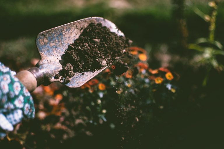 A close-up of a hand holding a spade with soil, with blurred colourful flowers and greenery in the background, suggesting an activity to prepare your garden for spring.