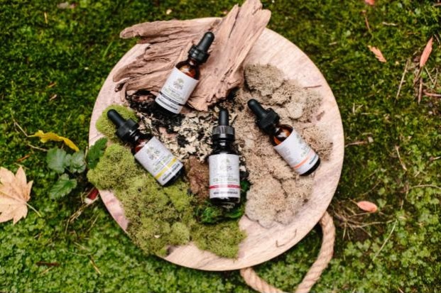 Four dropper bottles with labels rest on a round wooden tray, surrounded by moss, lichen, and driftwood—an inviting outdoor setting perfect for showcasing CBD oil for dogs amid green grass and natural foliage.