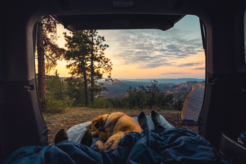 people in a campervan with a dog sleeping at their feet
