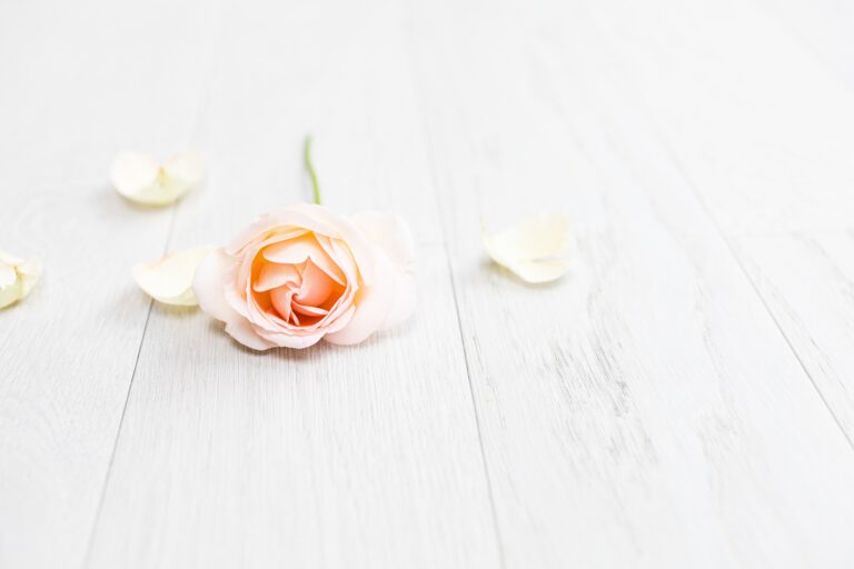 a white rose on a white wooden floor