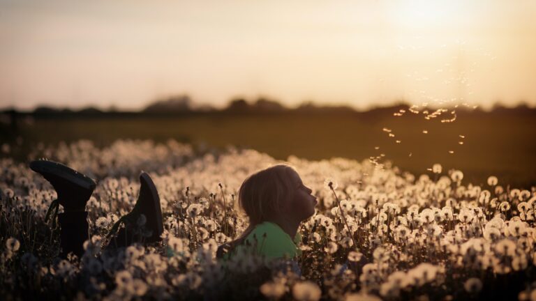 A girl laid down in a field blowing a dandelion at sunset