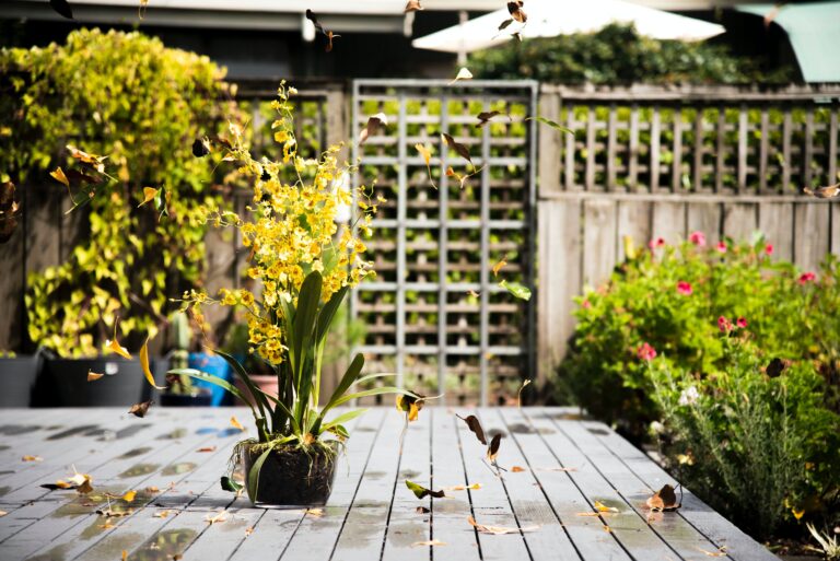 A pot of yellow flowers sits on a wooden decking, surrounded by swirling brown leaves—an inviting scene for updating your garden. A wooden fence and green plants are visible in the background under bright sunlight.