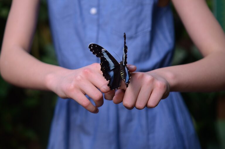 A person in a sleeveless blue dress gently holds a black and white butterfly with both hands, with a blurred green background.