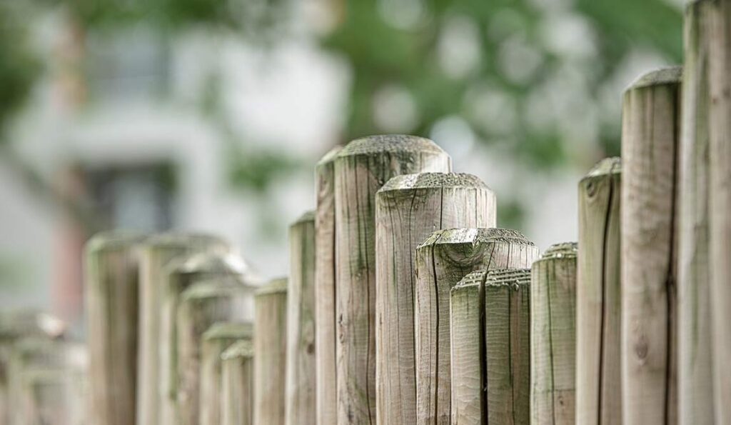 A close-up view of a row of weathered wooden posts with subtle fence post support, set against a blurred background of greenery and light, creating a soft, natural atmosphere.
