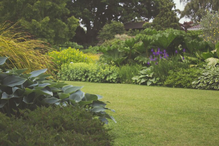 A lush, green garden with a neatly mown lawn, surrounded by various leafy plants and shrubs, including large leaves and some purple flowers—perfect inspiration for those seeking ideas on how to bring more privacy into your garden.