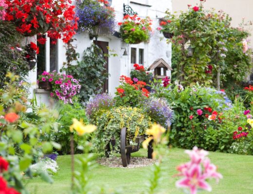 A cottage garden with colourful flowers, lush greenery, and hanging baskets in front of a white house—perfect to transform your garden into a vibrant and inviting outdoor scene.