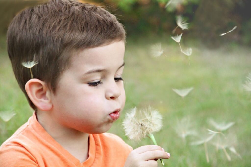 A young boy in an orange shirt, born through surrogacy, blows on a dandelion, sending its seeds flying into the air against a blurred green background.