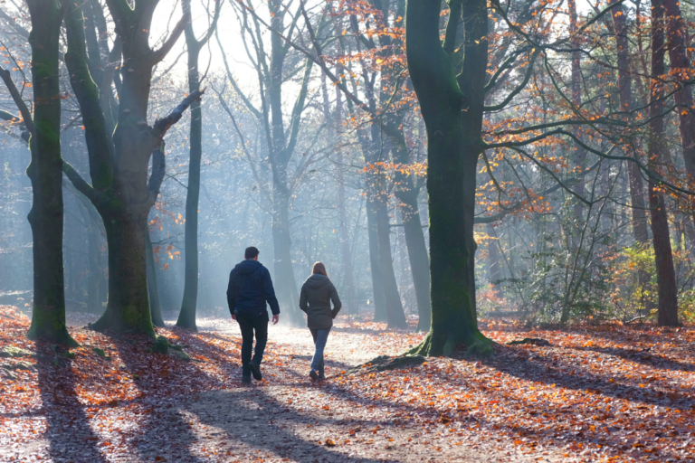 Two people enjoy a peaceful winter walk along a sunlit forest path, where fallen autumn leaves and sparse foliage create a serene atmosphere. Sunbeams filter through the tall trees, highlighting the quiet beauty of the scene.
